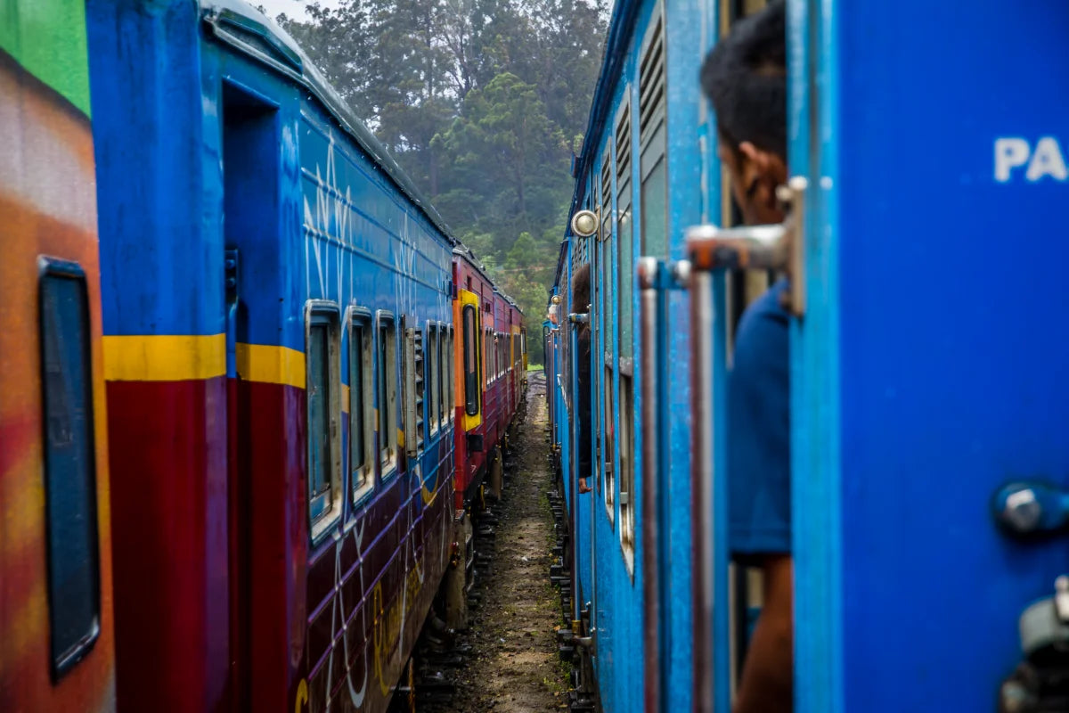 Two parallel Indian trains passing through rural landscapes, capturing the everyday rhythm and movement of India’s heartland.