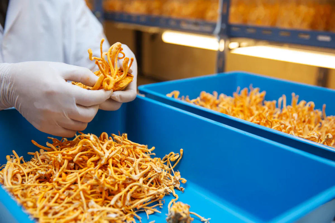 📍 Shortcut-Free Namkeen: Why We Went to the Source, Not the Factory